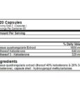 gn-cissus-xplode-120-caps_2
